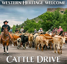 Cattle Drive Picture