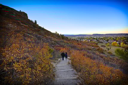 FallStroll- Small Size